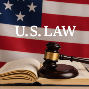 "Top U.S. law firm rankings in 2025"
